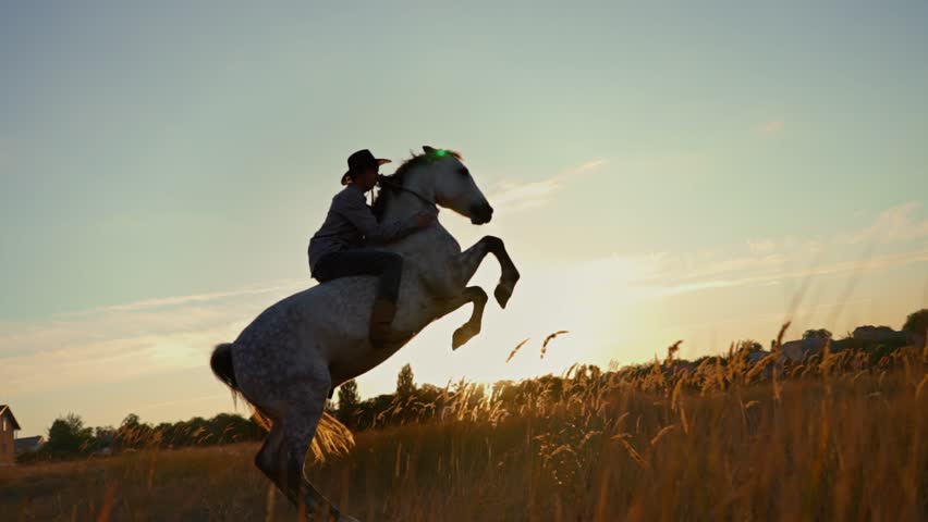 Shutterstock Video