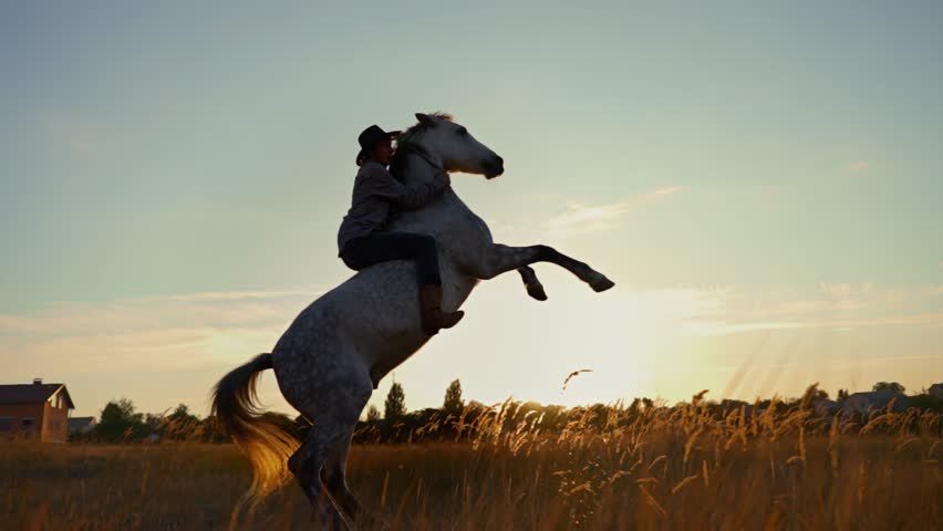 Shutterstock Video