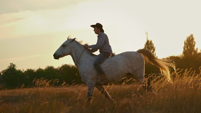 Man in cowboy costume riding horse against sunset.