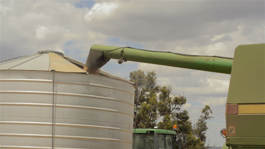 A header auger offloading a load of oats into a field bin on an Australian farm.