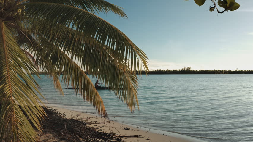 Palm trees frame a Polynesian fisherman paddling a traditional va