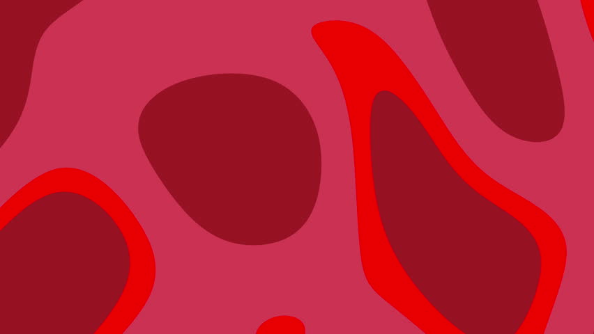 Shutterstock Video