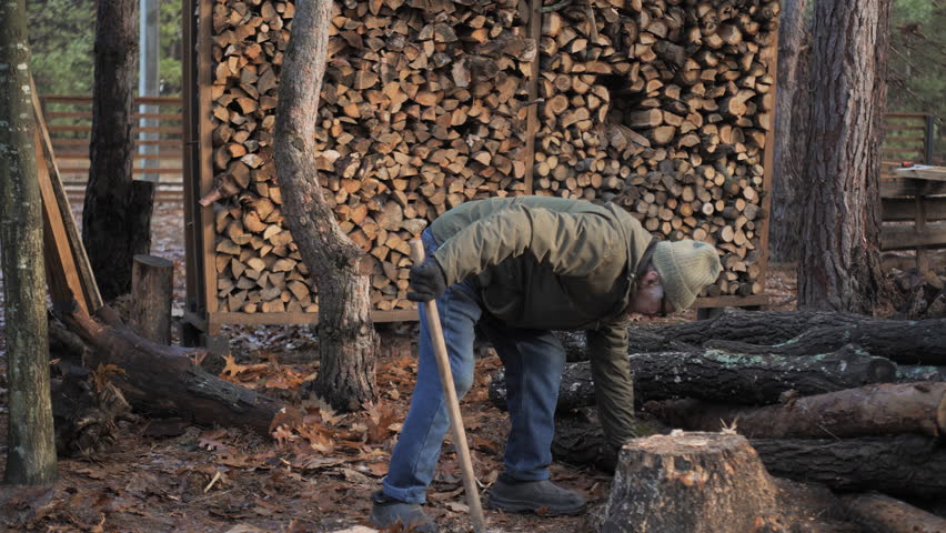 A person is chopping firewood with an axe in a wooded area. Behind them is a neatly stacked pile of logs as colorful autumn leaves cover the ground.