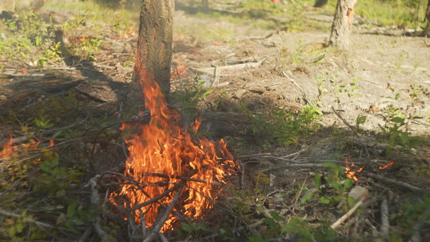 Brush Fire from a Controlled Burn for Forest Management in Williams Lake, BC Canada