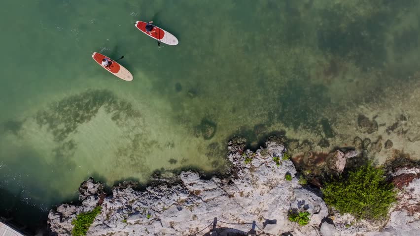 Two people riding paddle boards on vacation and Crystal clear blue water near racks on an island in Mexico overhead aerial drone epic cinematic