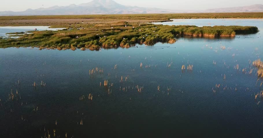 Drone view of Sultan Reed Pond in Kayseri, Turkey. This natural reserve serves as a wintering area for many birds.