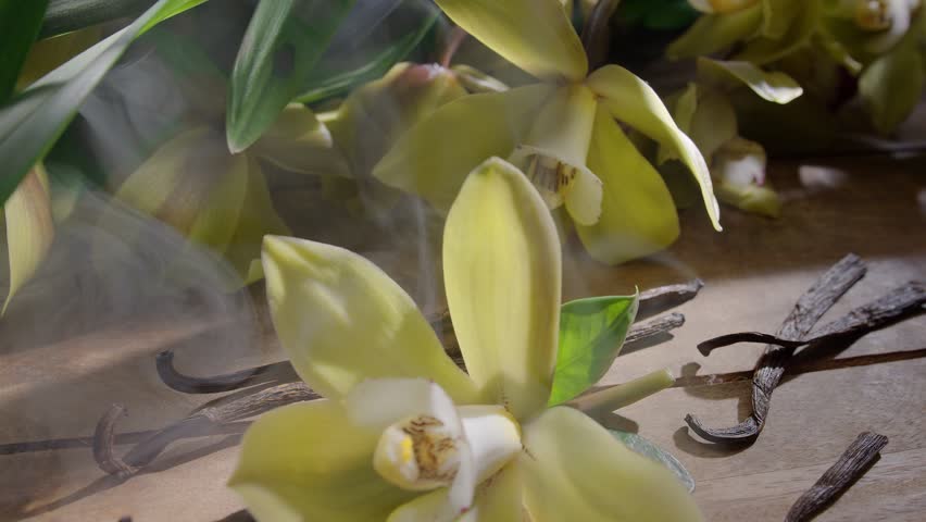 Vanilla orchid flower with vanilla sticks on a vintage wooden table with green leaves in the background. Vanilla gives off a "scent" in the form of small smoke clouds. Slow panoramic camera movement
