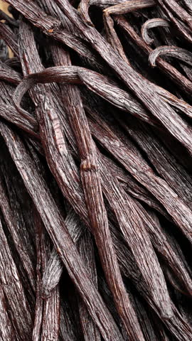 close-up, isolated gourmet grade vanilla beans or sticks, rotating, planifolia, black pods, madagascar, top view
