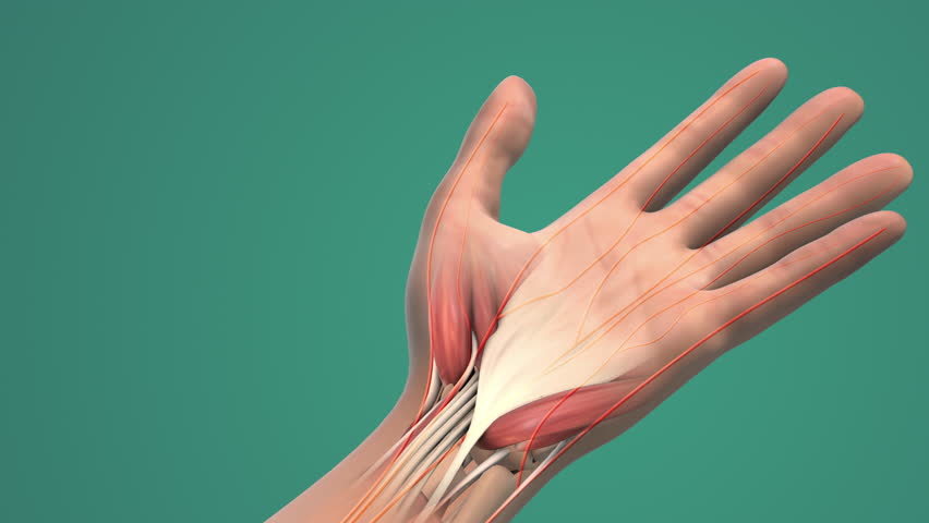 Wrist Pain and Numbness from Carpal Tunnel Syndrome