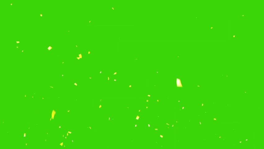 Shutterstock Video