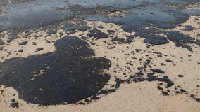 Beach and sea are polluted with fuel oil. Coastline coastline oil spill impact, pollution, waste disposal. - Powered by Shutterstock - Get 15% off with code: PIKWIZARD15