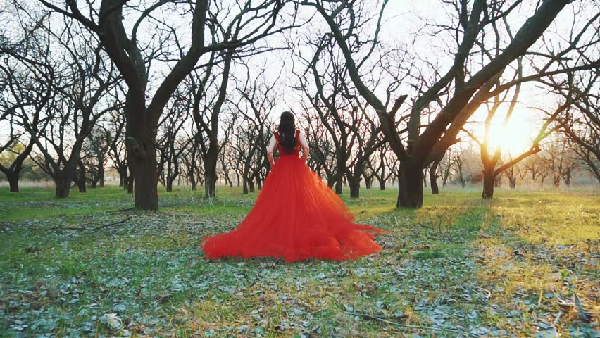 fantasy woman queen walks runs in gothic forest black trees trunk. Mystery lady long red dress train in motion. Girl princess. mystery wood green grass. Sun light dark silhouette Back rear view