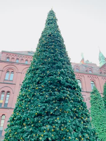 Christmas tree light blink green