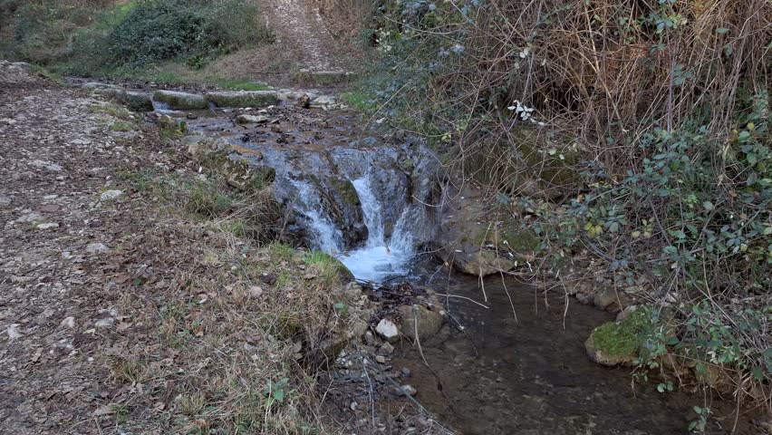Tranquil mountain creek flowing through a serene mossy forest with a small waterfall