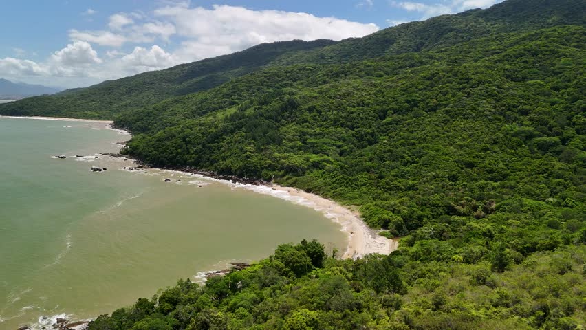 Aerial view of Triste Beach and Atlantic Forest of Parque Natural Municipal Costeira de Zimbros - Bombinhas, Santa Catarina, Brazil