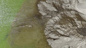 Top down into the Wilderness: A Drone's Journey Over a Wetland - Powered by Shutterstock - Get 15% off with code: PIKWIZARD15