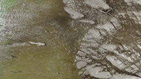 Top down into the Wilderness: A Drone's Journey Over a Wetland - Powered by Shutterstock - Get 15% off with code: PIKWIZARD15