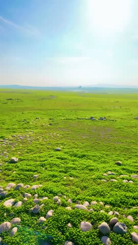 natural potrait green video village side cold area greenery