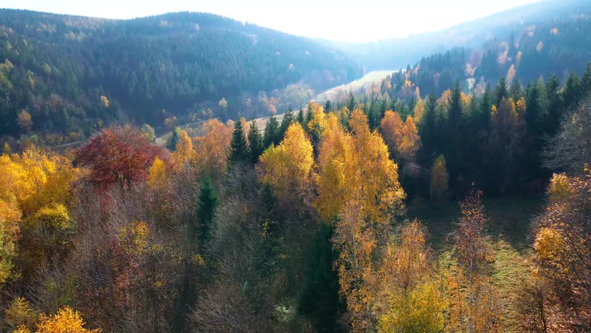 beautiful video drone over trees mountains pines autumn