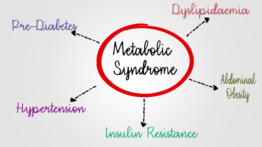 Conceptual Diagram Highlighting Metabolic Syndrome and Related Conditions