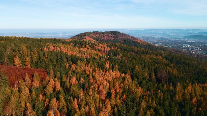 beautiful video drone over trees mountains pines autumn