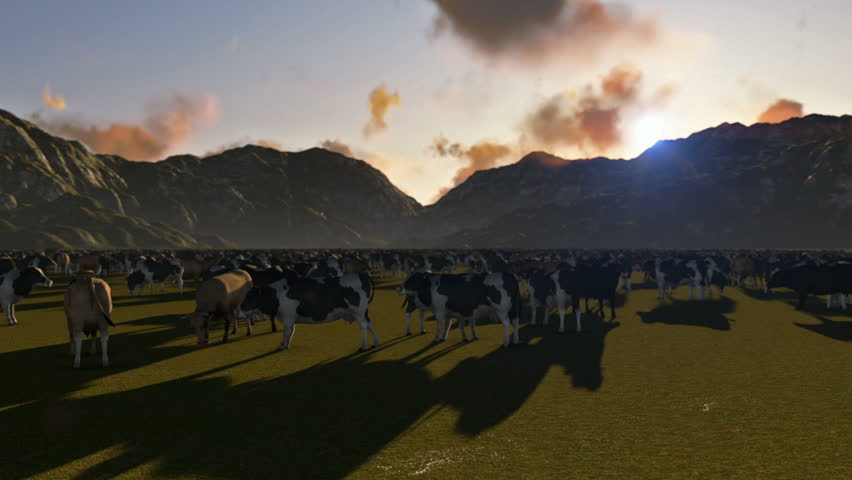 Cows on green meadow and mountain