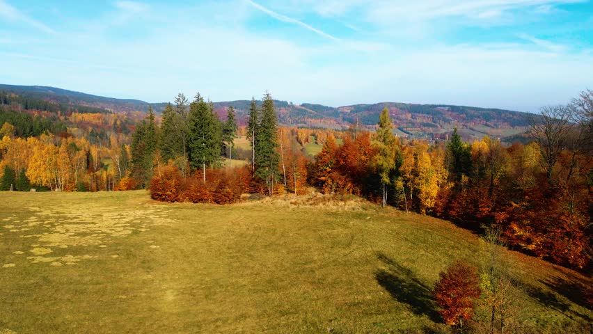 beautiful video drone over trees mountains pines autumn