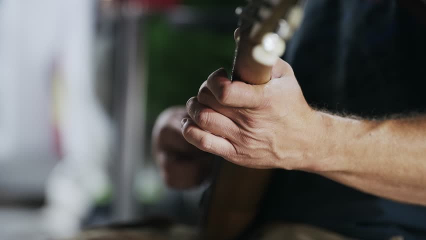 Shutterstock Video