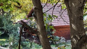 Rustic log cabin surrounded by lush trees in a tranquil forest setting, establishing shot - Powered by Shutterstock - Get 15% off with code: PIKWIZARD15