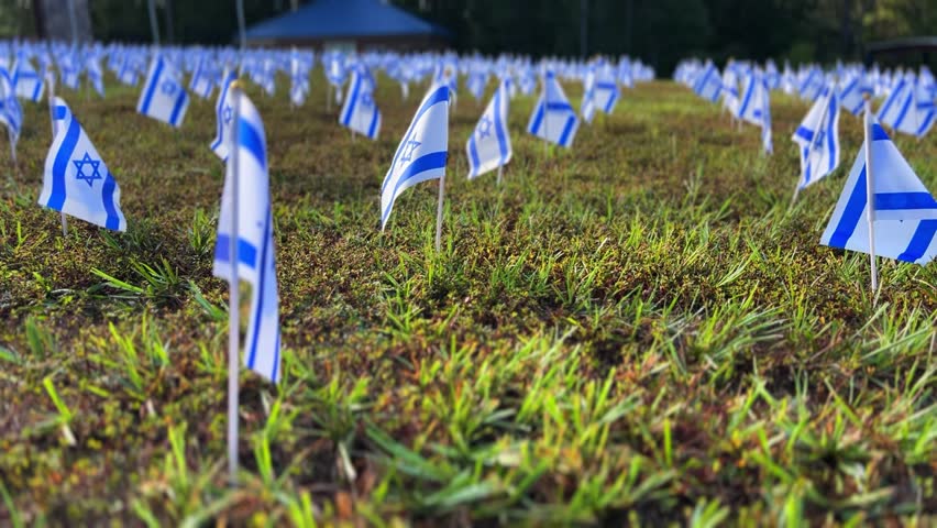 A green field with small flags, creating a colorful festive atmosphere