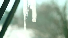 Drops Water From Melting Icicles. Coming Spring Shiny Clear Ice On March. Spring Warm Melting Icicles. Winter End Warming Weather. Early Spring Season Warm Day. Drop Of Meltwater In Icicles Winter End - Powered by Shutterstock - Get 15% off with code: PIKWIZARD15