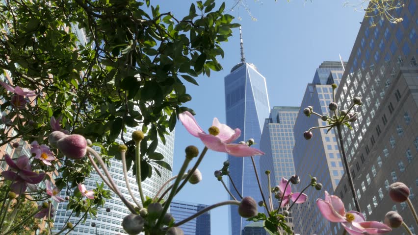 New York City Manhattan, Downtown Financial District architecture, United States. One World Trade Center skyscraper building, USA. American urban street. Freedom tower in NYC. Battery park. Brookfield