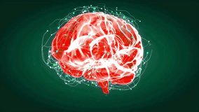 The enlightenment of consciousness. Visualisation of a brain scan. Seamless loop. - Powered by Shutterstock - Get 15% off with code: PIKWIZARD15