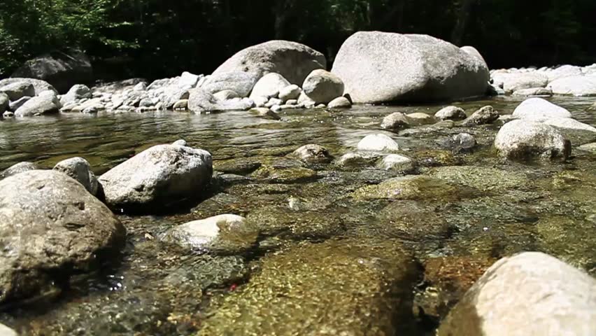 Babbling Brook