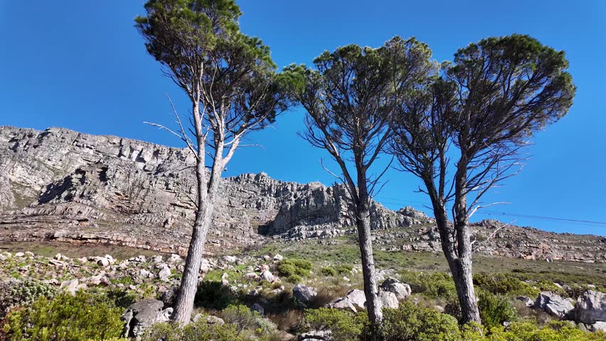 Table Mountain At Cape Town In Western Cape South Africa. National Park Scene. Giant Rocks. Cape Town At Western Cape South Africa. Tourism Travel. Transportation Skyline.