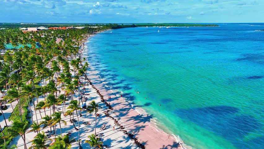 Hawaiian resort beach early morning from a bird's eye view. Generous Caribbean coast with coconut palms and turquoise sea. Natural landscape of tropical summer. Bright postcard.
