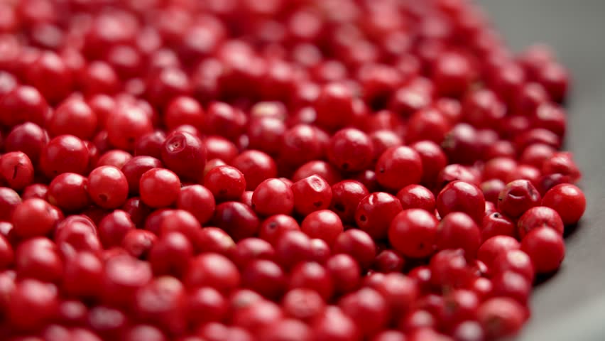 Pink peppercorns in a gray bowl. Hot aromatic seasoning. Spicey ingredient. Macro. Rotation