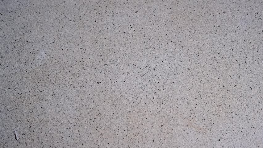 After the trout fillet, the cook salts the fish fillet and puts it in a cup.