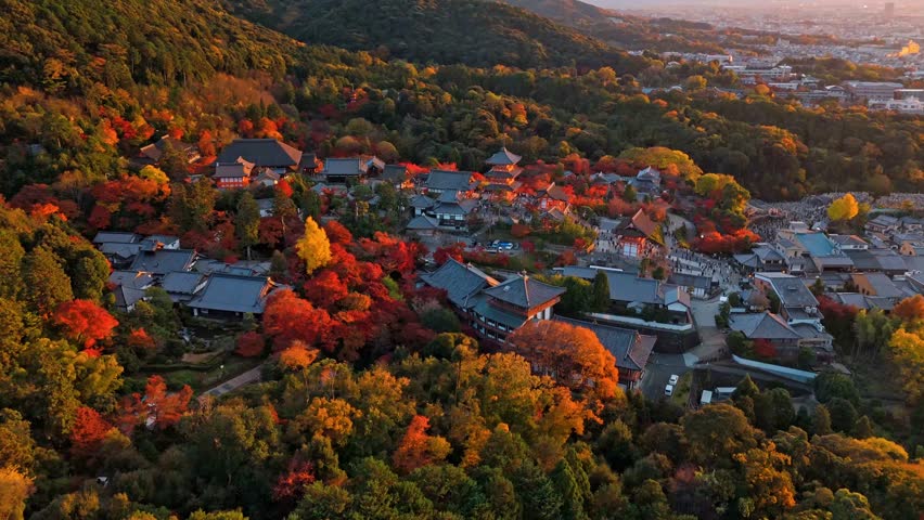 A breathtaking drone clip capturing Kiyomizu-dera Temple during the vibrant momiji (autumn foliage) season in Kyoto, Japan.