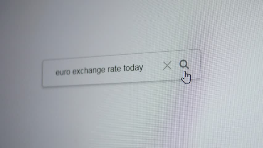 A search bar with the entering query Euro exchange rate today