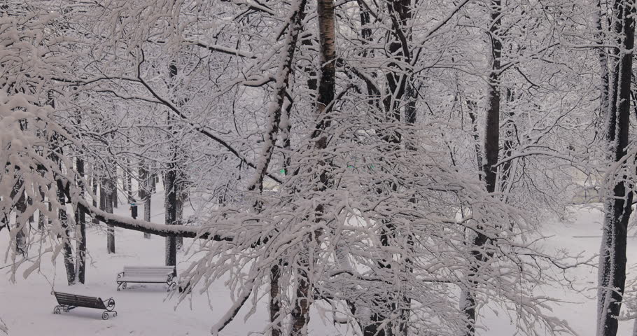 A serene winter scene featuring benches blanketed in fresh snow, surrounded by frosty trees, capturing the peaceful beauty of a snowy day in the park.