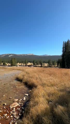 Natural Soda Springs in High Meadow (Yosemite National Park, California, USA)
