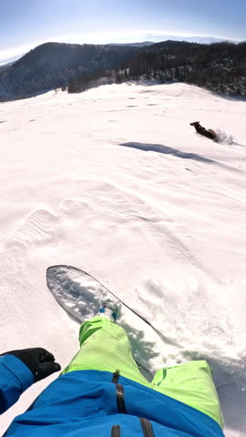 SLOW MOTION, POV: First person shot of snowboarding in the deep powder snow with your dog running ahead. Carving freshly fallen snow covering the scenic countryside with adorable mixed breed puppy.