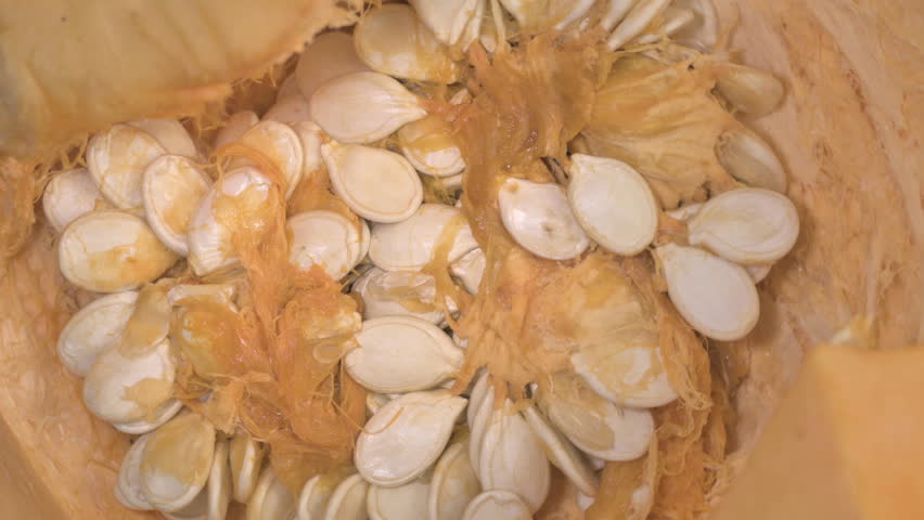Seeds inside the Pumpkin on Top Of the Turntable