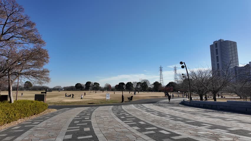 Tokyo Ojima Komatsugawa Park 2024 December