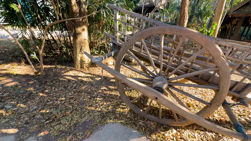 Wooden cart under trees in natural setting