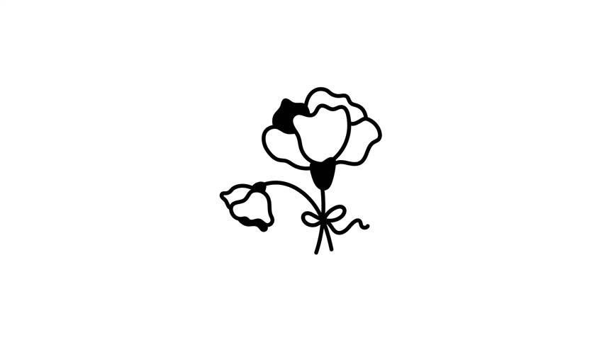 Carnation flower animated icon in hand drawn style 


