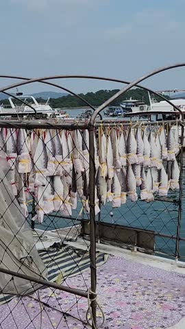 Floating market vendor in Sai kung, Hong Kong