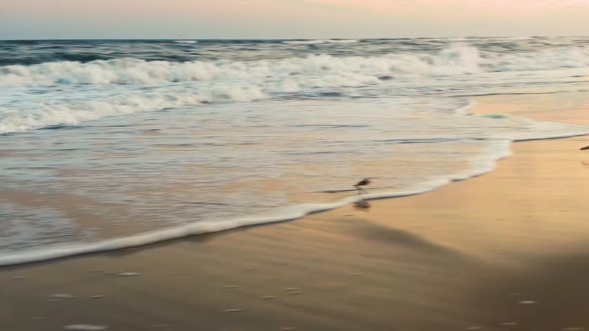 Handheld view walking along the shore as waves lap against the sand, with birds