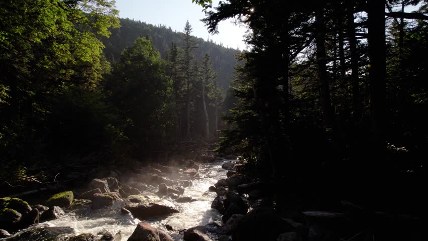 Aerial view of the Ammonoosuc River
